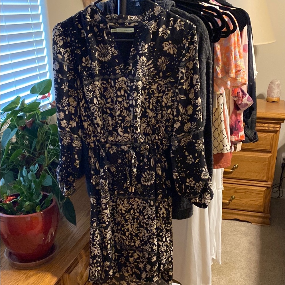 Maurices Black and Cream Sheath Dress with Bishop Sleeves